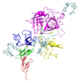 Tissue Plasminogen Activator structure