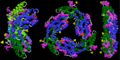 B-phycoerythrin structure