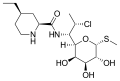 Pirlimycin structure