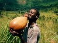 Refreshing palm wine