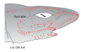 Electroreceptors in a shark's head