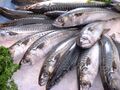Mackerel fish, a common source of histamine
