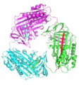 Antitrypsin domain swap
