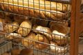 Bread rolls at a bakery