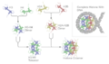 Nucleosome