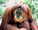 Stub icon