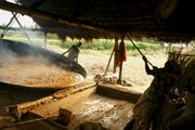 Transferring boiled sugarcane juice into vessel to dry.