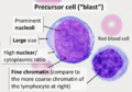 Precursor cell