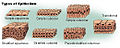 Types of epithelium