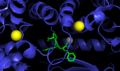 ACE in complex with inhibitor lisinopril