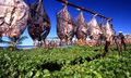 Dried fish