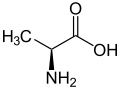 L-Alanine structure