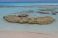 Stromatolite