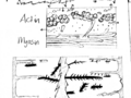 Actin and myosin filament breakdown in rhabdomyolysis