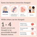 Infographic showing breast cancer risk factors