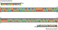 Polymerase chain reaction