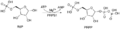 R5p activation