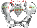 Sacroiliac joint