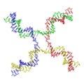 Coloured Holliday junction