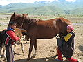 Mare milking in Suusamyr