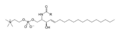2D skeletal formula of sphingomyelin