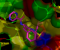 Proteasome