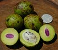 Bouea macrophylla fruit