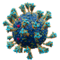 Spike protein