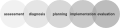 Nursing process (NANDA)