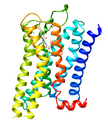 5-HT1F receptor structure