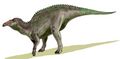Edmontosaurus_mummy_AMNH_5060