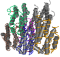 Recombinant Human Interferon-Alpha 2b