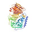 Inulinase structure 6nun