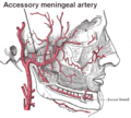 Accessory meningeal artery
