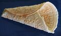Krumkake