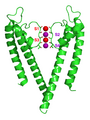 Crystal structure of a potassium channel