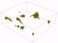 3D visualization of Aspergillus niger spore germination