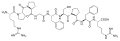 Bradykinin structure