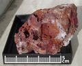 Acid mine drainage in a pyrite-rich area