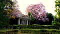 NIMHANS garden