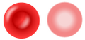 Erythrocyte