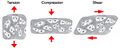 Vascular remodelling in the embryo