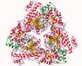 Structure of adenylyl cyclase