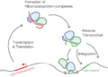 Retrotransposons
