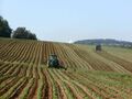 Tractors working in a potato field