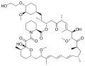 MTOR_inhibitors