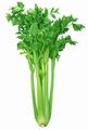 Celery stalks, often used in salads or as a snack.