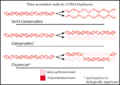 DNA replication modes