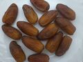 Dattes deglet from Biskra