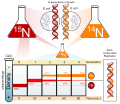 Molecular biology